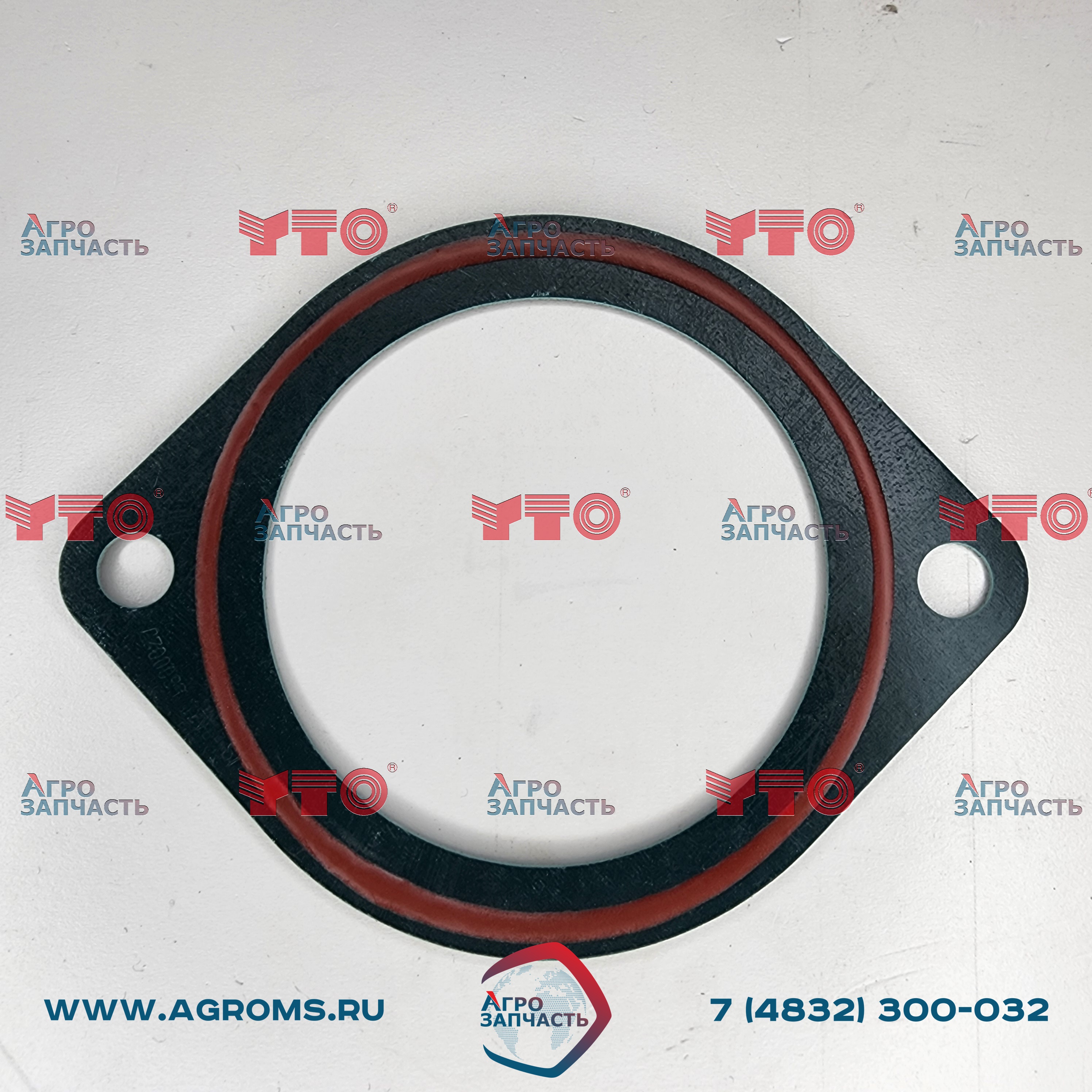 Прокладка крышки термостата 6RAZL.530002W 240100038683