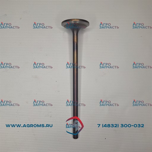 Клапан впускной 5340.1007010 ЯМЗ-534 АВТОДИЗЕЛЬ