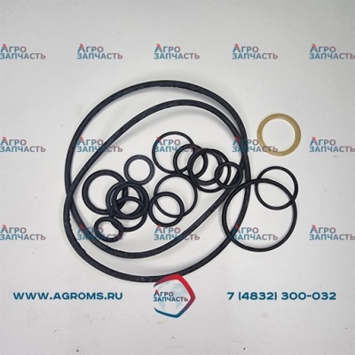 Ремкомплект насос-дозатора НД-80К МТЗ80/82/100 (1916/1216)